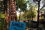 Victoria Falls Backpackers - Image 5