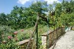 Photos of Il Querceto
