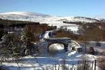 Slochd Mhor Lodge - Image 5