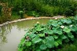East Huangshan International Youth Hostel - Image 7