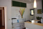 Green Lizard Hostel - Image 7