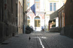 Hostel Mara Brasov - Image 7