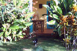 La Rancheta - Image 8