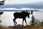 Bear on the Lake Guesthouse/ HI Cape Breton Island - Image 9