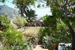 La Terrazza dei Pelargoni - Image 2