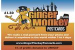 The Ginger Monkey - Image 2