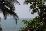 Orchid Guest House - Image 2