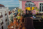 Alfama Patio Hostel - Image 3