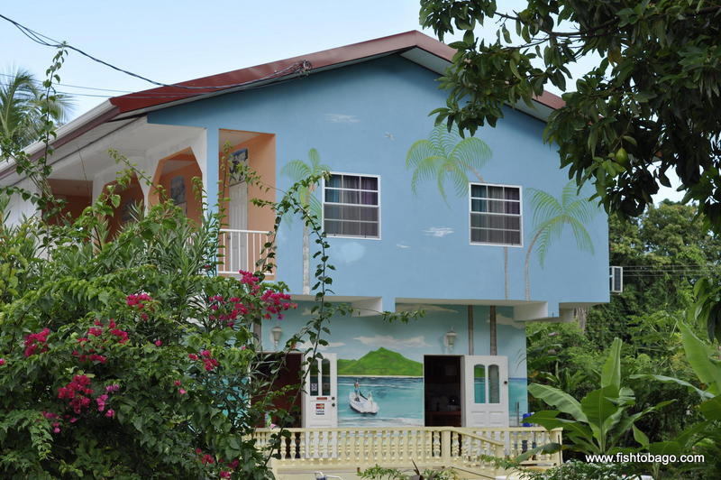 Fish Tobago Guesthouse  0