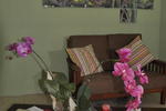Fish Tobago Guesthouse - Image 3