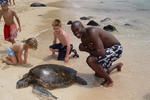 Fish Tobago Guesthouse - Image 7