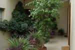 Ancient Romance B&B - Image 5