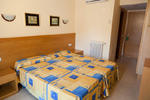 Palma Playa Hotel - Los Cactus - Image 8