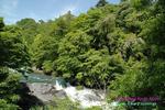 Photos of Nikko Cottage Inn FU-SHA
