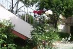 B&B Golfo degli Angeli - Image 9