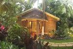 Kairali Ayurvedic Health Resort - Image 9