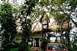 Tree Tops Bed & Breakfast - Image 1