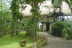 Tree Tops Bed & Breakfast - Image 2