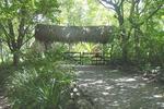 Tree Tops Bed & Breakfast - Image 3