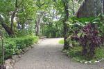 Tree Tops Bed & Breakfast - Image 4