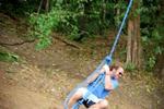 Backpackers Manuel Antonio - Image 8