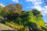 The Otarunai Backpackers Hostel Morino...