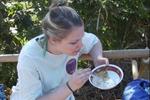 Blue Mountain Wilderness Retreat - Image 5