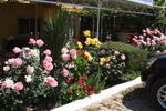 Photos of Ozcan Pansiyon