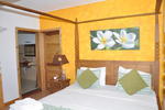 Photos of Pingo Studio