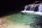 Photos of Tamarind Great House