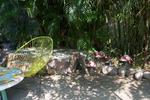 El Rincon del Viajero - Image 9