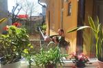 Transylvania Hostel - Image 3