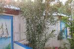 Al Salam Camp - Image 2