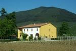 Villa Fiona B&B