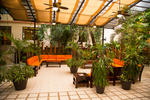 Hotel Maya Tulipanes - Image 4