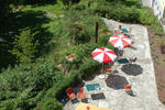 Photos of Muffin Hostel