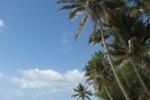 Aremango Guesthouse - Image 4