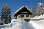 Chalet Bohinj - Image 8