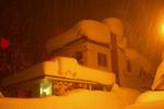 Snowbeds