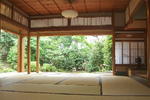 RokuRoku - Image 4