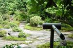 RokuRoku - Image 7