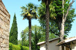Photos of Hotel Casa Mancia