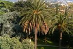 Villa San Gennariello B&B - Image 4