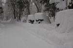 Photos of Wind Jacket Lodge