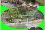 Darling View Point Bungalows - Image 2