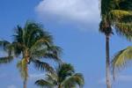 Hollywood Beach Hostel - Image 6