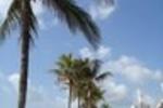 Hollywood Beach Hostel - Image 7