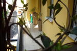 B&B Rigoletto - Image 1