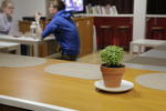 Porto Downtown Hostel - Image 5