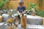 Sol y Mar Backpackers Hostel - Image 7